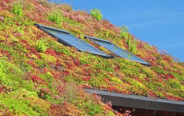 Chester Moor living roof systems